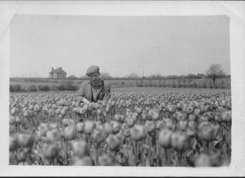 Jos b-1922 with tulips.jpeg